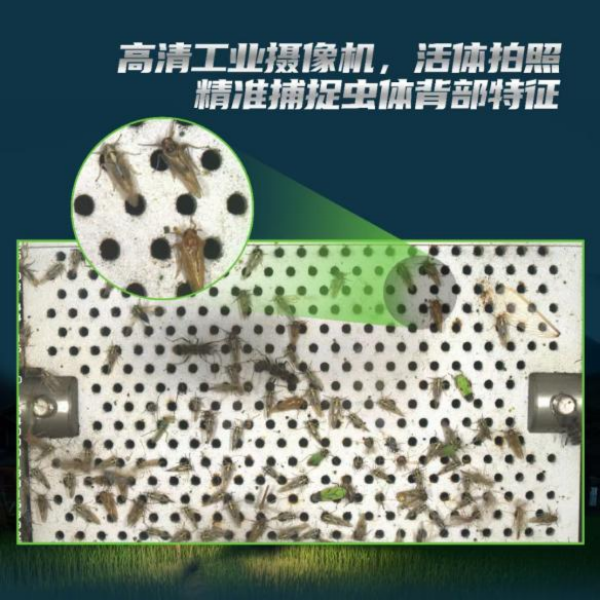 全面升級！托普云農(nóng)這樣防治“作物殺手”
